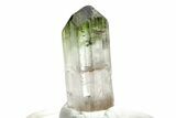 Bi-Colored Elbaite Tourmaline Crystal - Rubaya, Congo #206882-1